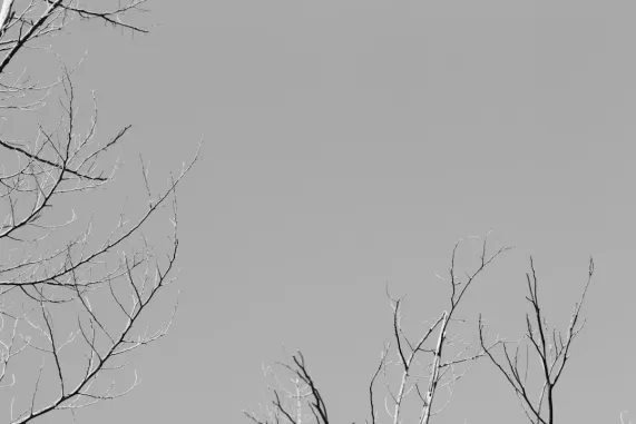 פוקטווין קזינו תמיכה